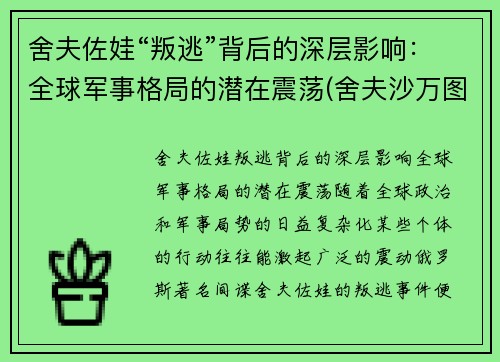 舍夫佐娃“叛逃”背后的深层影响：全球军事格局的潜在震荡(舍夫沙万图片)