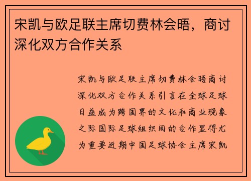 宋凯与欧足联主席切费林会晤，商讨深化双方合作关系